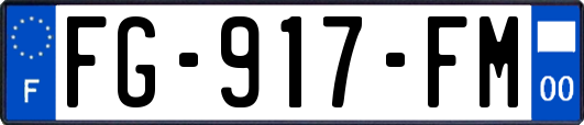 FG-917-FM