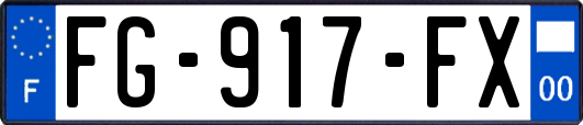 FG-917-FX