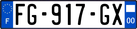 FG-917-GX