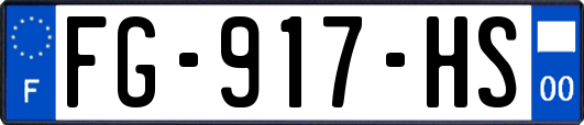 FG-917-HS