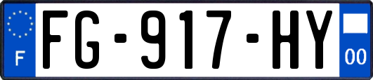 FG-917-HY
