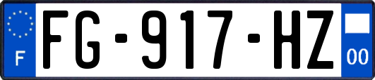 FG-917-HZ