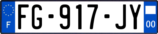 FG-917-JY