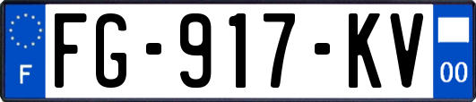 FG-917-KV