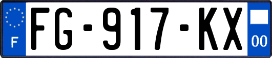 FG-917-KX