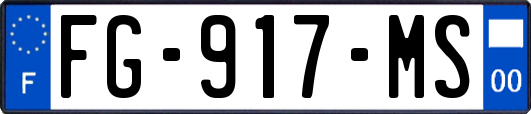 FG-917-MS