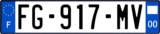 FG-917-MV