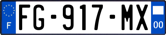 FG-917-MX