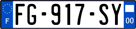 FG-917-SY