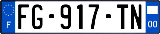 FG-917-TN