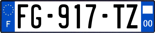FG-917-TZ