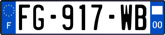 FG-917-WB