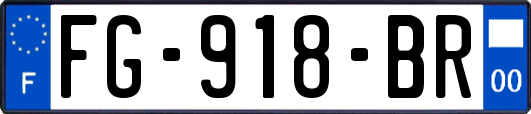 FG-918-BR