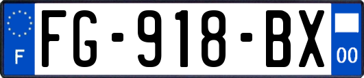 FG-918-BX