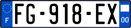 FG-918-EX