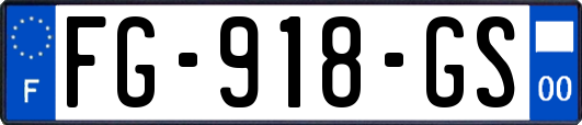 FG-918-GS