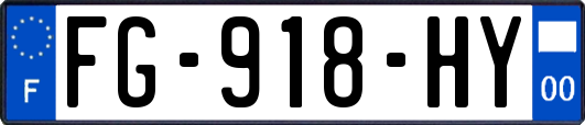 FG-918-HY