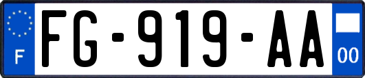 FG-919-AA