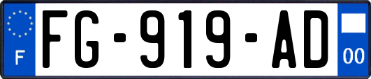 FG-919-AD