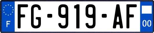 FG-919-AF
