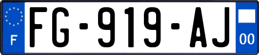 FG-919-AJ