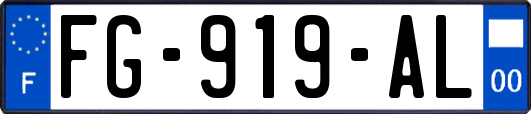 FG-919-AL