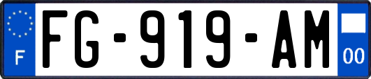 FG-919-AM