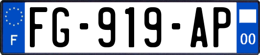 FG-919-AP