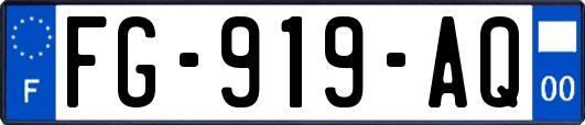 FG-919-AQ