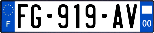 FG-919-AV