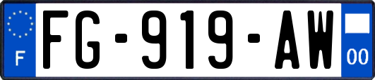 FG-919-AW