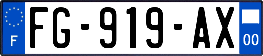 FG-919-AX