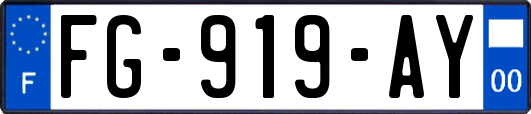 FG-919-AY