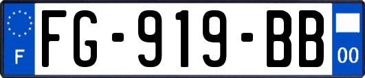 FG-919-BB