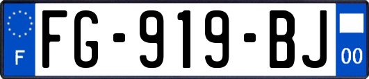 FG-919-BJ