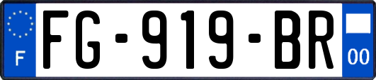 FG-919-BR