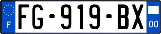 FG-919-BX