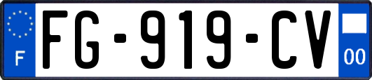 FG-919-CV