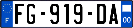 FG-919-DA