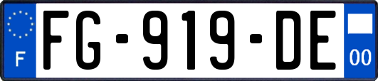 FG-919-DE