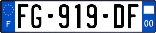 FG-919-DF