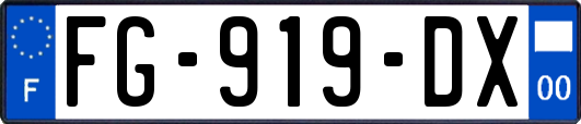 FG-919-DX