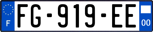 FG-919-EE