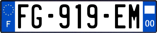 FG-919-EM