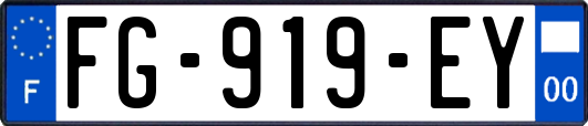 FG-919-EY