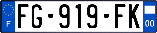 FG-919-FK