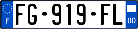 FG-919-FL