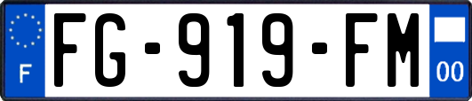 FG-919-FM