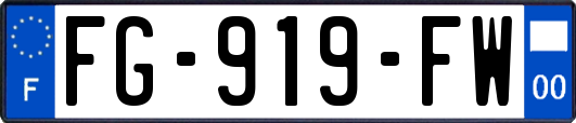 FG-919-FW