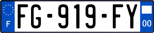 FG-919-FY